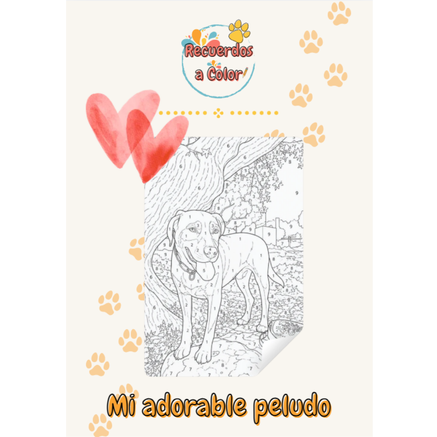 Recuerdos a Color